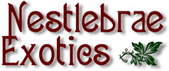 Nestlebrae Exotics